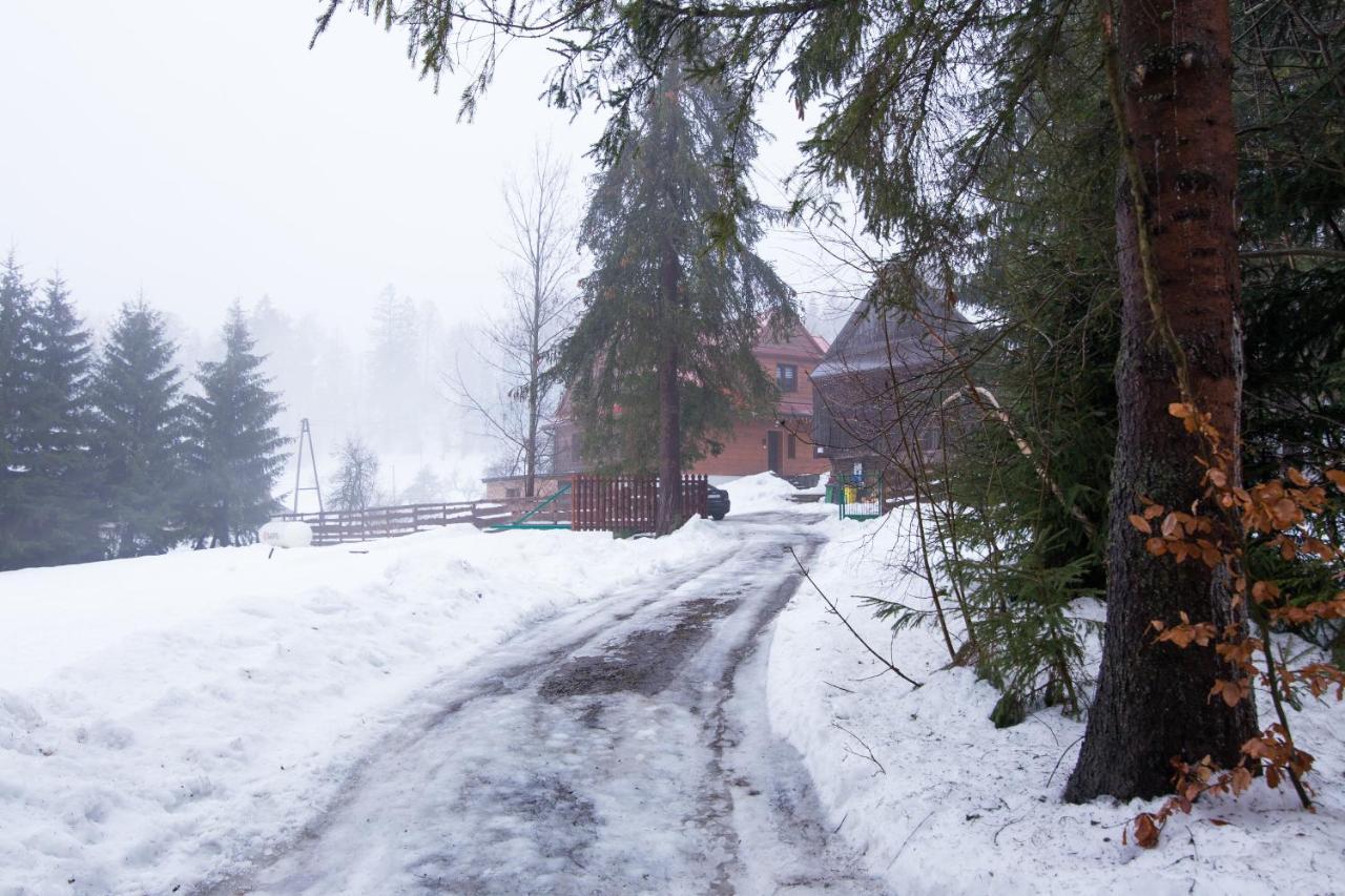 Gościniec Tokarzonka Istebna Zewnętrze zdjęcie